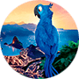 THEPASHKA Media Group